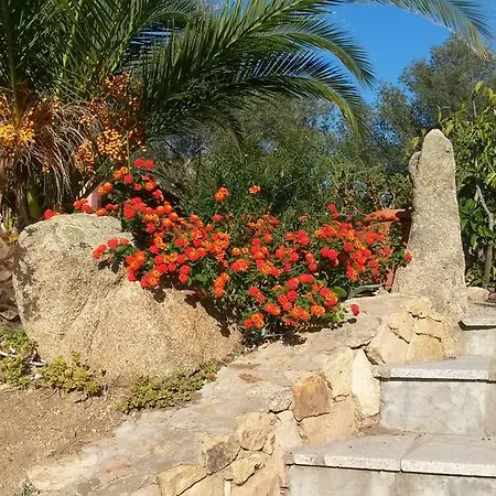 Hotel Turismo Rurale Montitundu-3